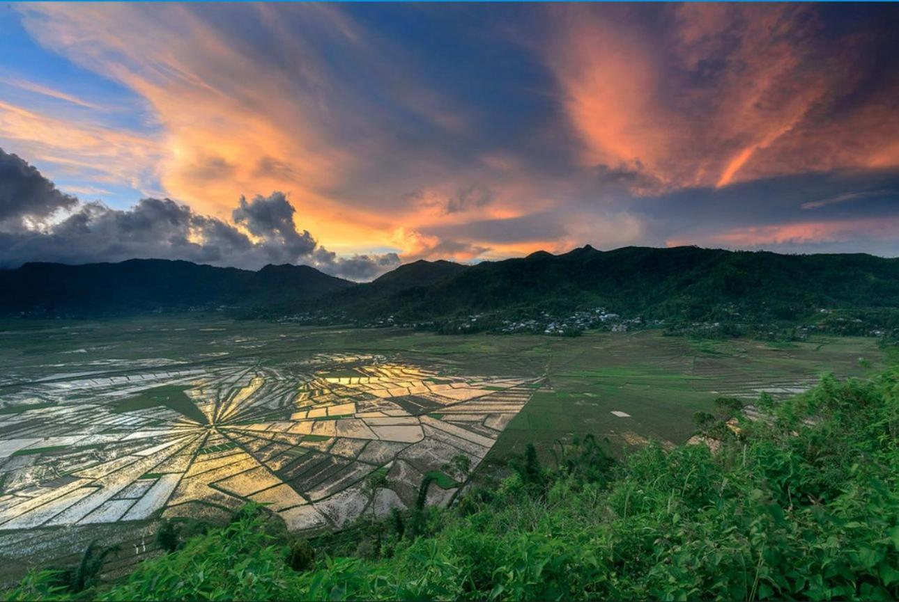D'Flora Homestay Labuan Bajo Exteriör bild