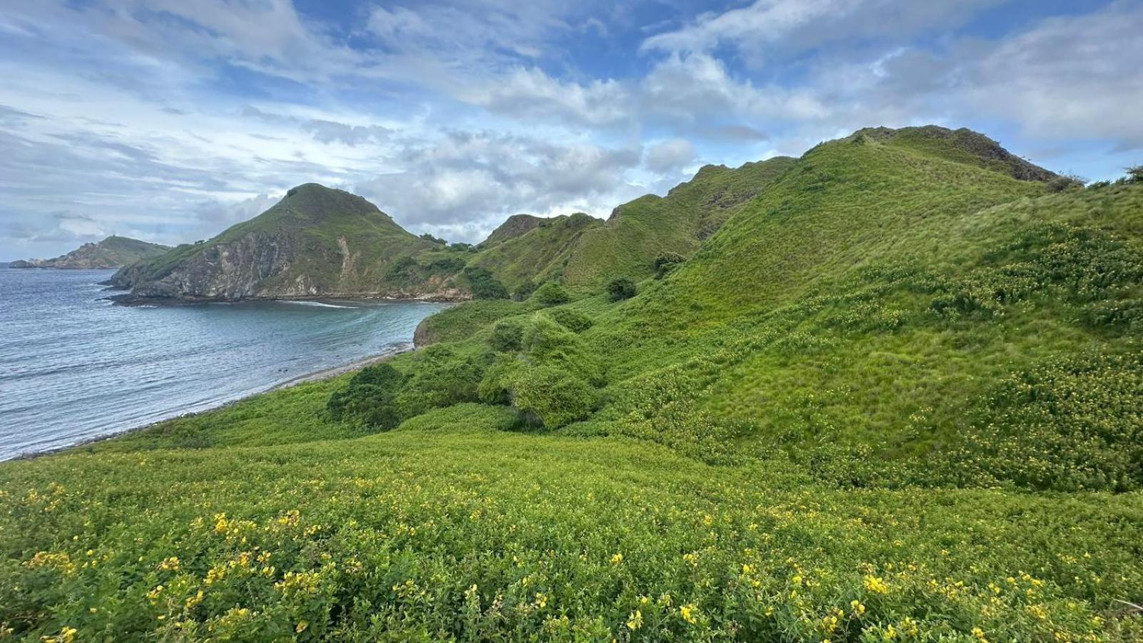 D'Flora Homestay Labuan Bajo Exteriör bild