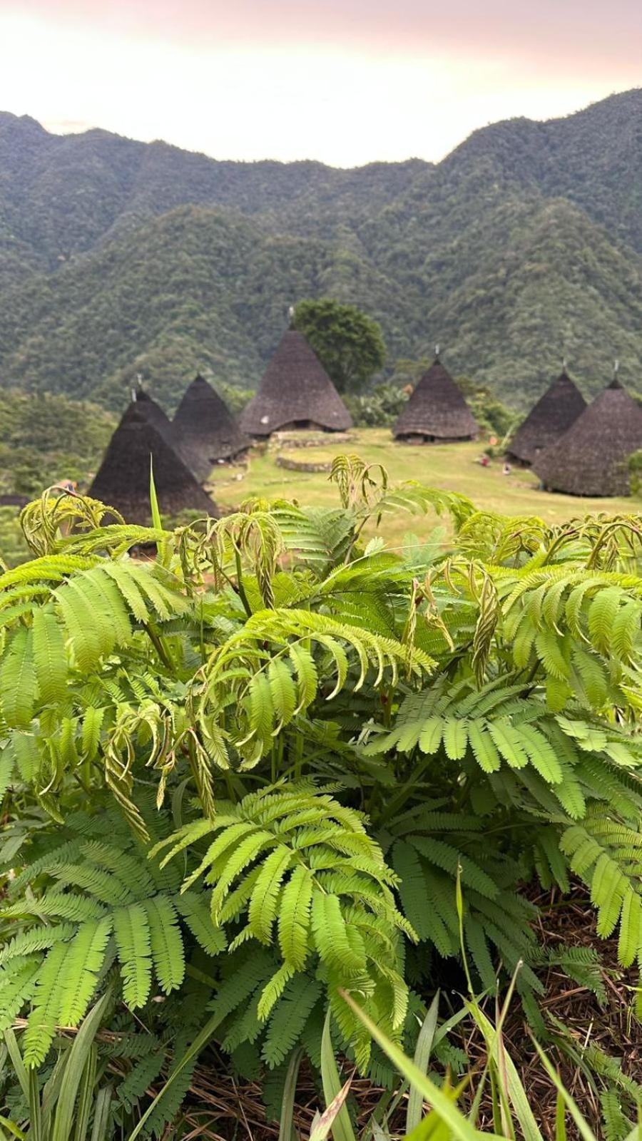 D'Flora Homestay Labuan Bajo Exteriör bild